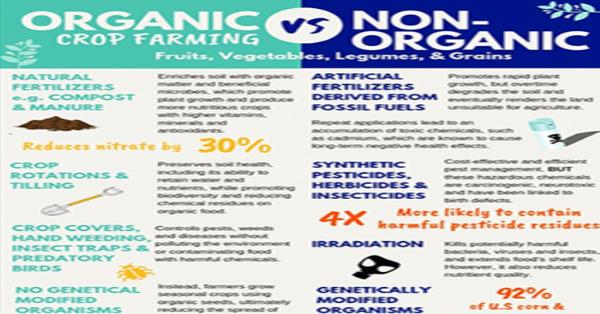 Organic Vs Non Organic Crop Farming Organic Vs Non Organic Crop Farming
