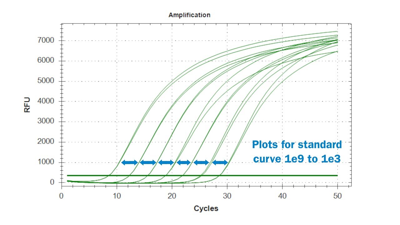 Qpcr Parameters Providing The Standard Curve For Each Primer Pair On 12 Qpcr Parameters Providing The Standard Curve For Each Primer Pair On 12