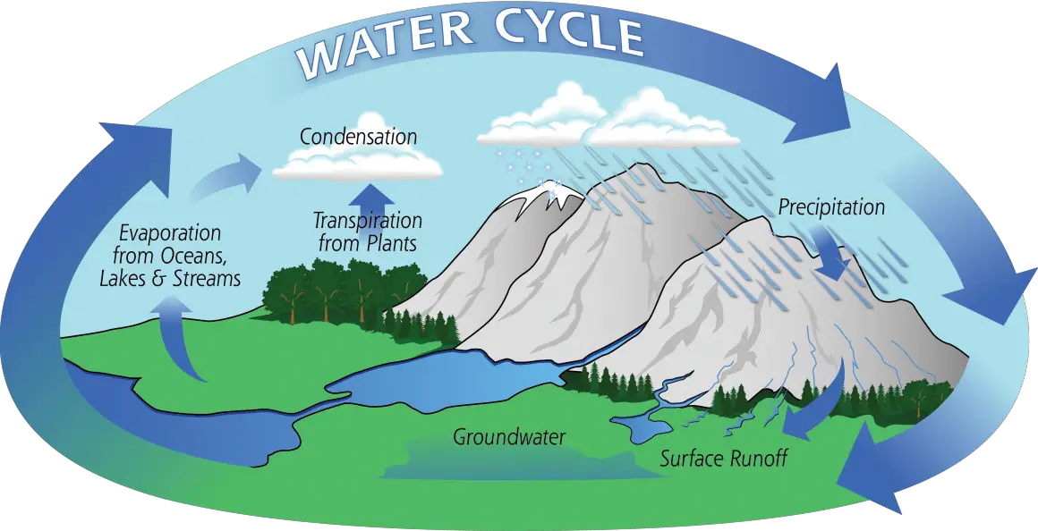 Why Water is a Renewable Resource: The Ultimate Guide